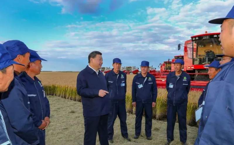 1712992510563483.jpg 640.jpg