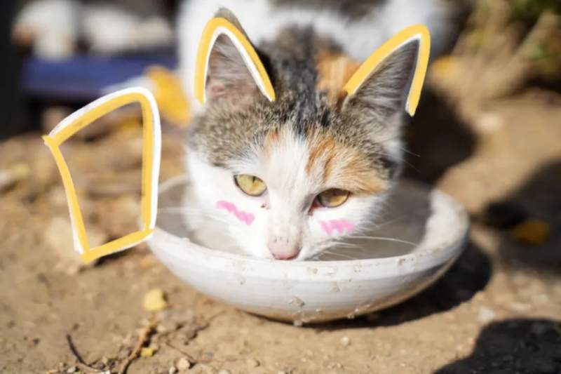 1713000714875978.jpg 640.jpg