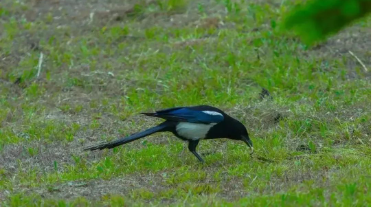 1713062928593717.png image.png