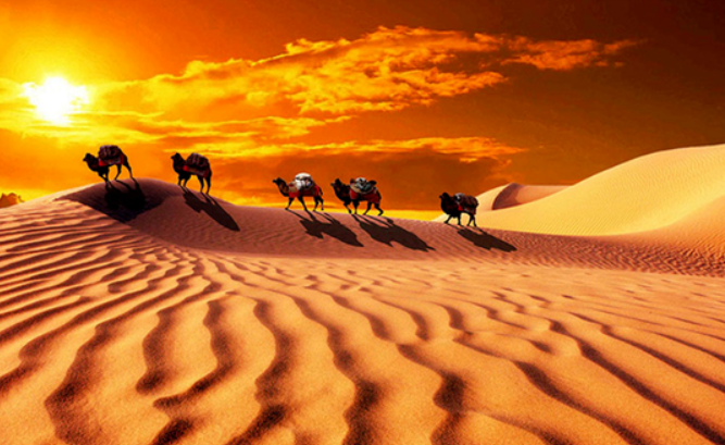 1713087893276390.png image.png