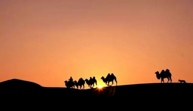 1713088046625531.png image.png