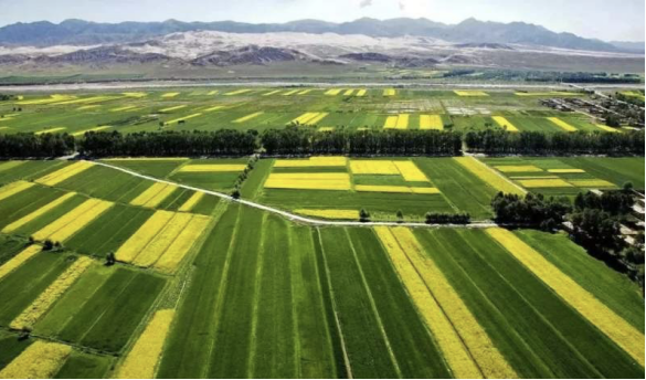 1722481663148522.png image.png