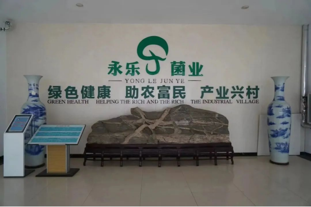 1722485618735401.png image.png