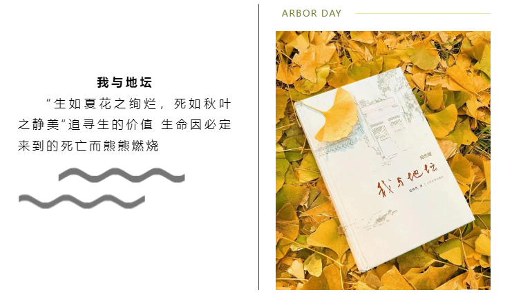 1722855145830312.png 1722855139235.png