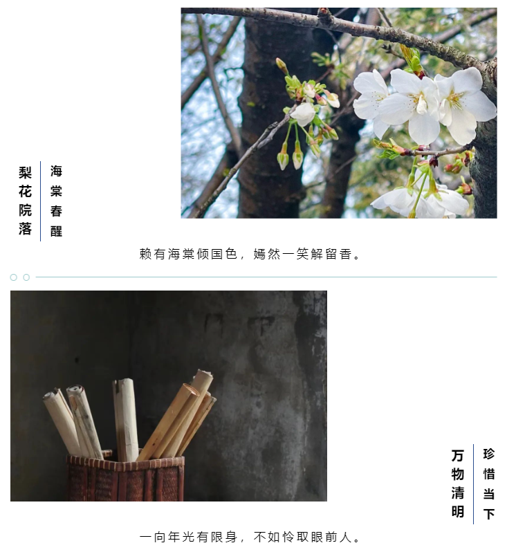 1722856857175719.png 1722856850703.png